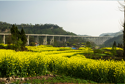 萬源（陜川界）至達(dá)州（徐家壩）段高速公路